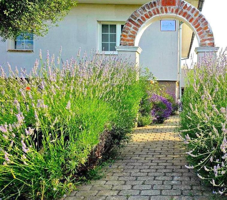 Dreamly Suites Oslip Esterno foto